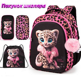 Ортопедичний рюкзак з пеналом та мішком 3 в 1 для дівчинки School Standard 38х30х18 см для молодших класів (Full 150-26)